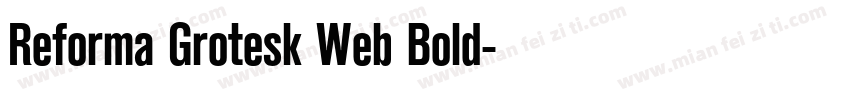 Reforma Grotesk Web Bold字体转换